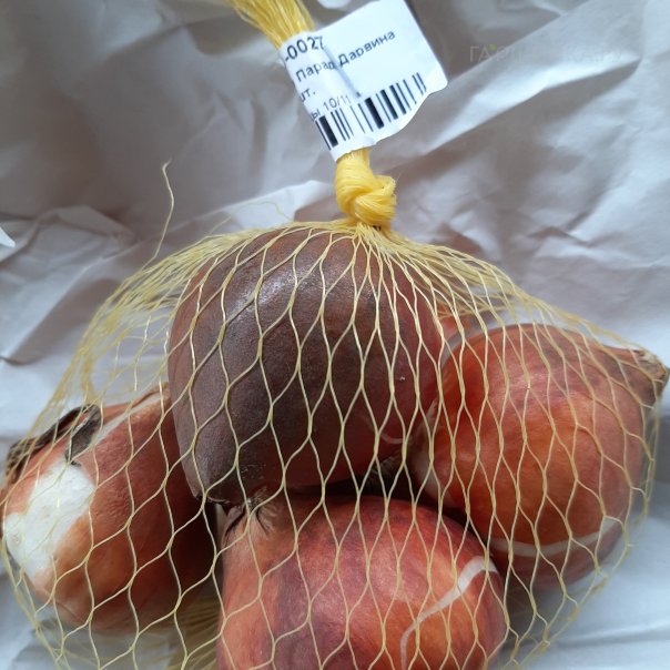 превью изображения отзыва