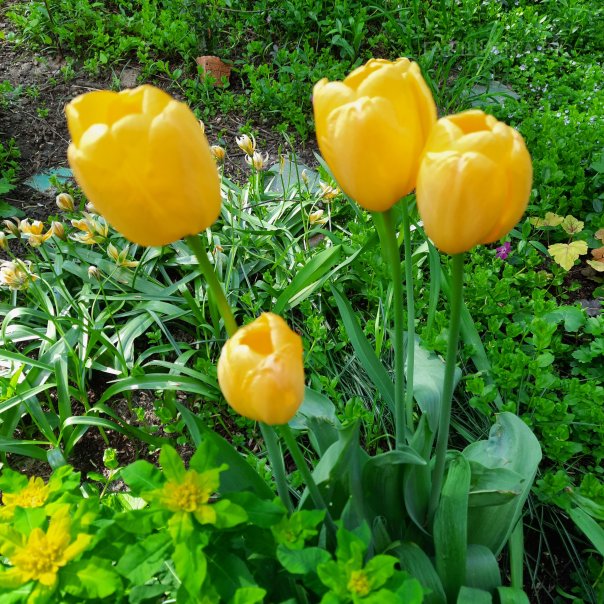 превью изображения отзыва