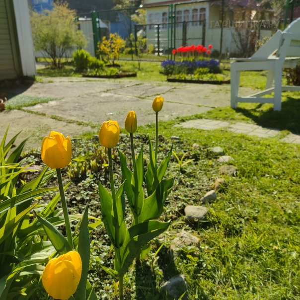 превью изображения отзыва