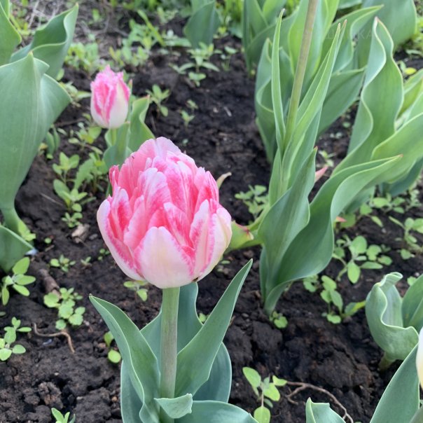 превью изображения отзыва