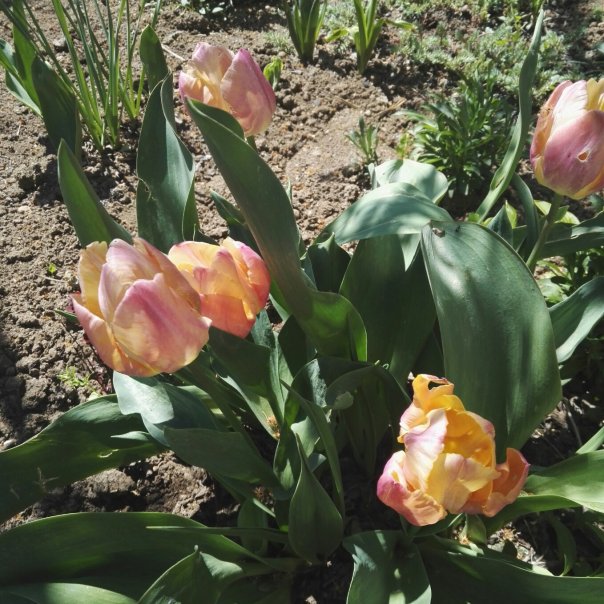 превью изображения отзыва