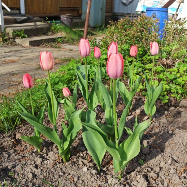 превью изображения отзыва