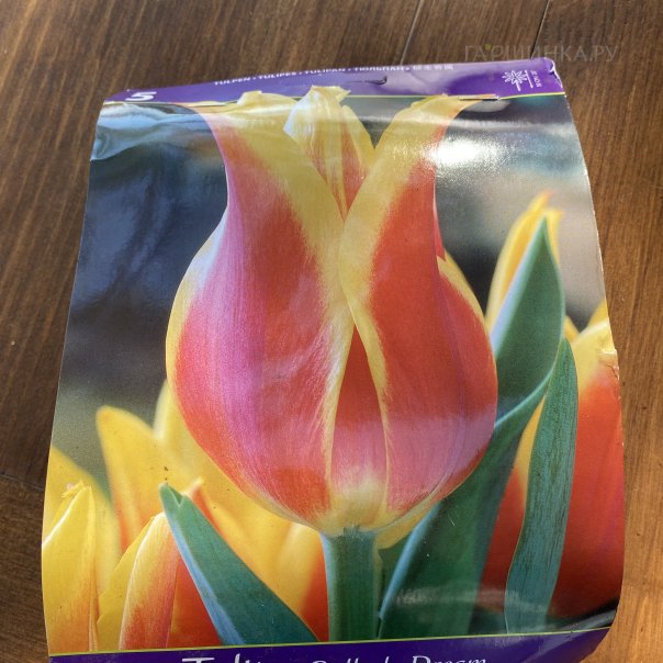 превью изображения отзыва