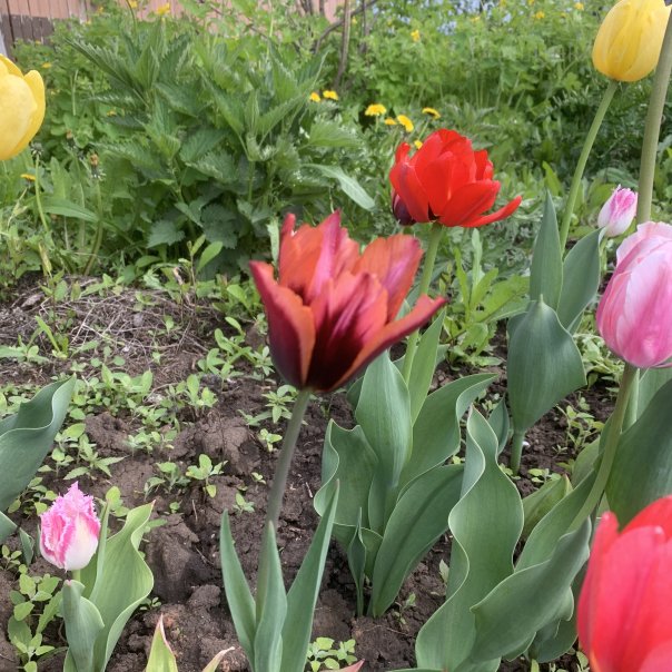 превью изображения отзыва