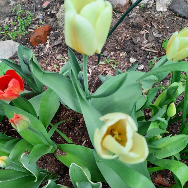 превью изображения отзыва