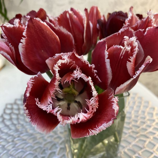 превью изображения отзыва