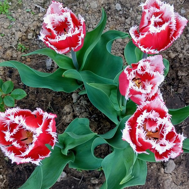 превью изображения отзыва