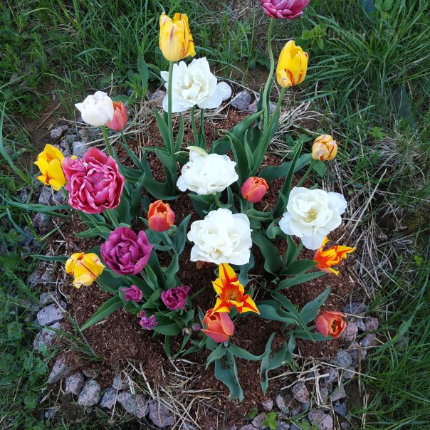 превью изображения отзыва