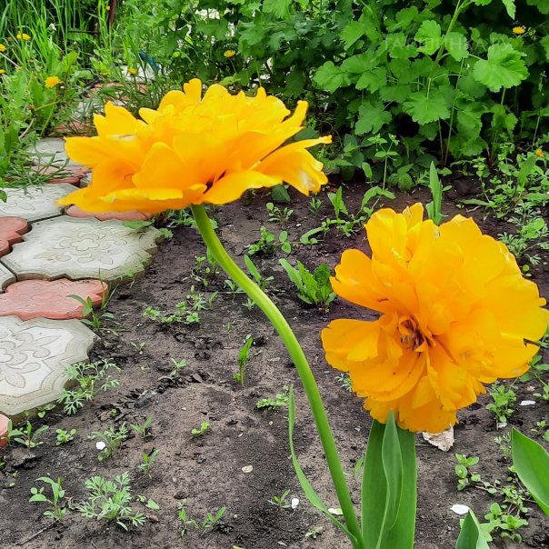 превью изображения отзыва