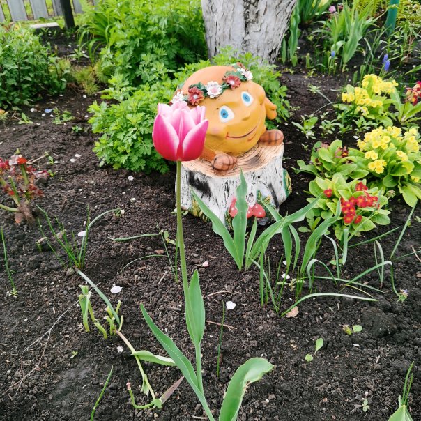 превью изображения отзыва