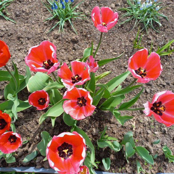 превью изображения отзыва