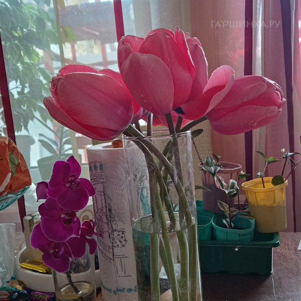 превью изображения отзыва