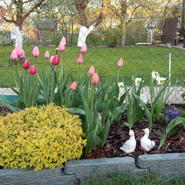 превью изображения отзыва