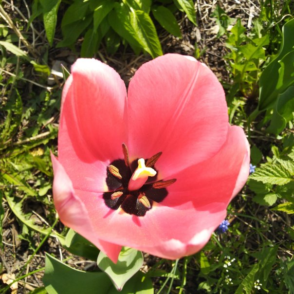 превью изображения отзыва