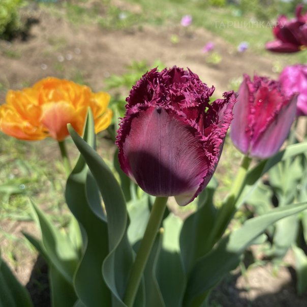 превью изображения отзыва