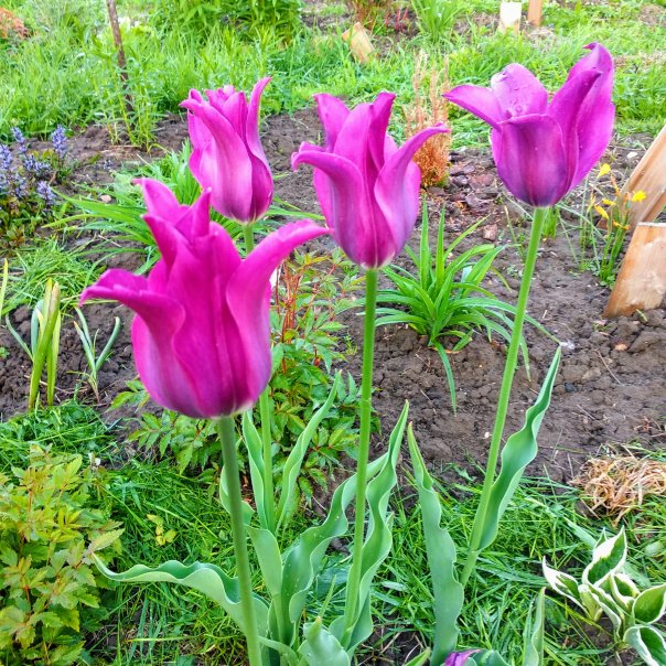 превью изображения отзыва