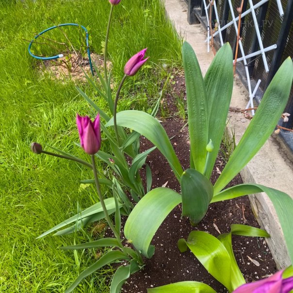 превью изображения отзыва