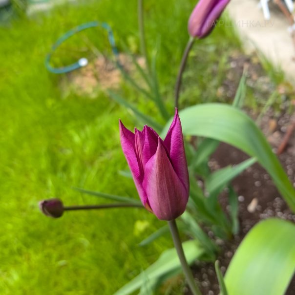 превью изображения отзыва