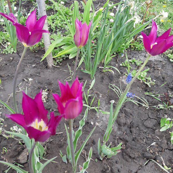 превью изображения отзыва