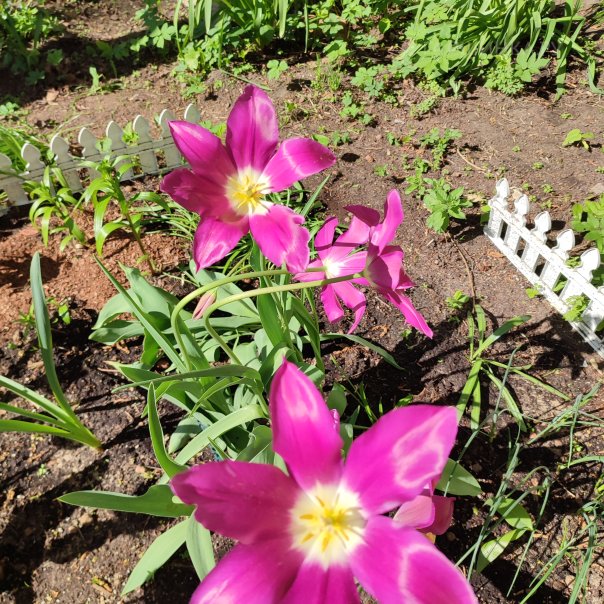 превью изображения отзыва