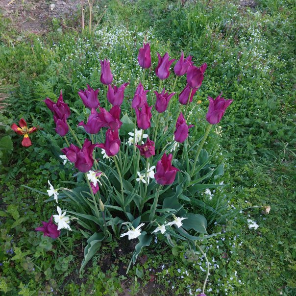 превью изображения отзыва