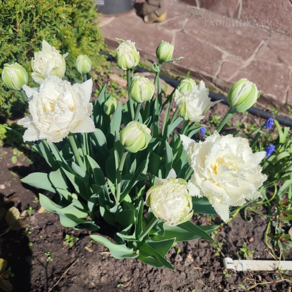 превью изображения отзыва