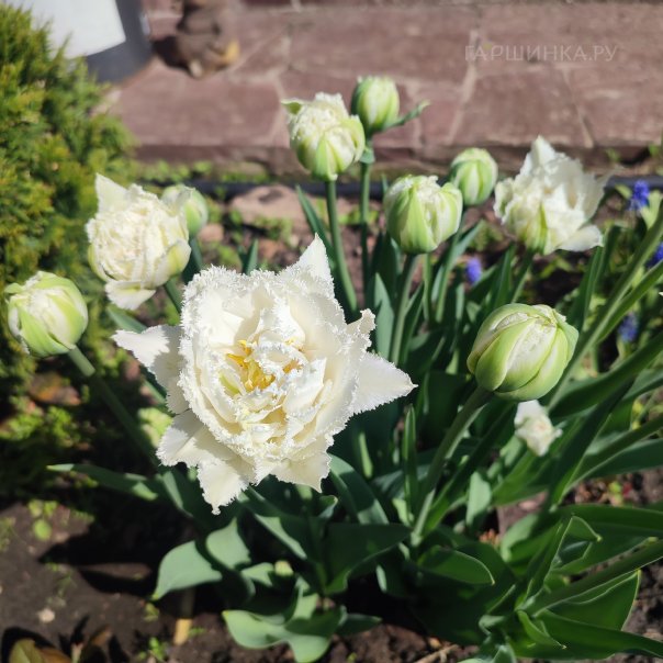 превью изображения отзыва