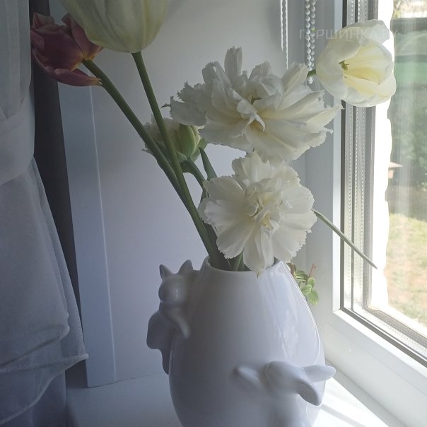 превью изображения отзыва