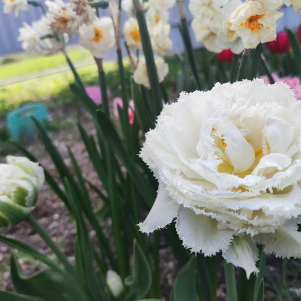 превью изображения отзыва