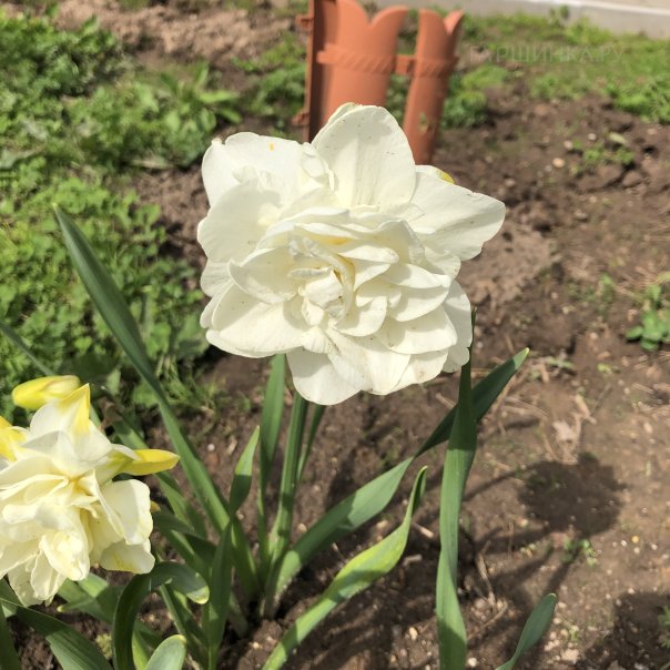 превью изображения отзыва