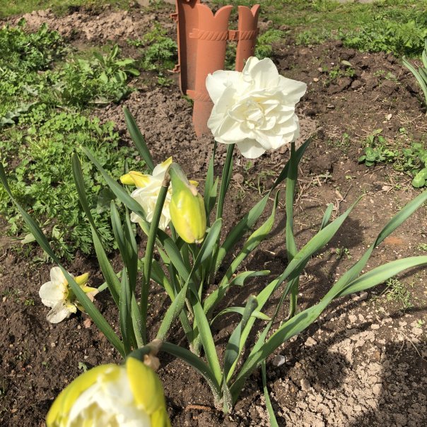 превью изображения отзыва