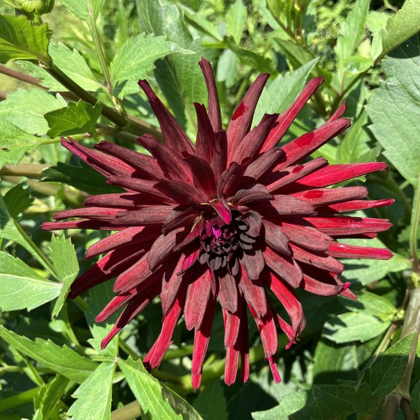 превью изображения отзыва