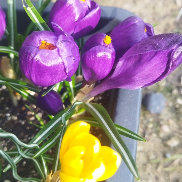 превью изображения отзыва