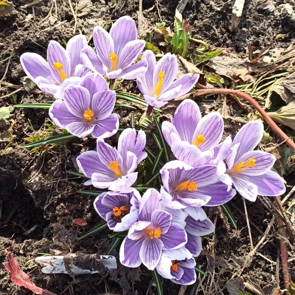 превью изображения отзыва