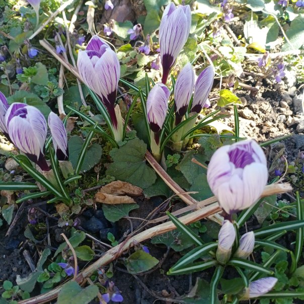 превью изображения отзыва