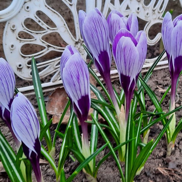 превью изображения отзыва