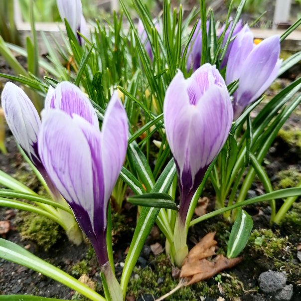 превью изображения отзыва