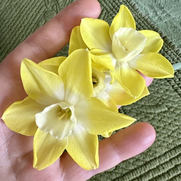 превью изображения отзыва