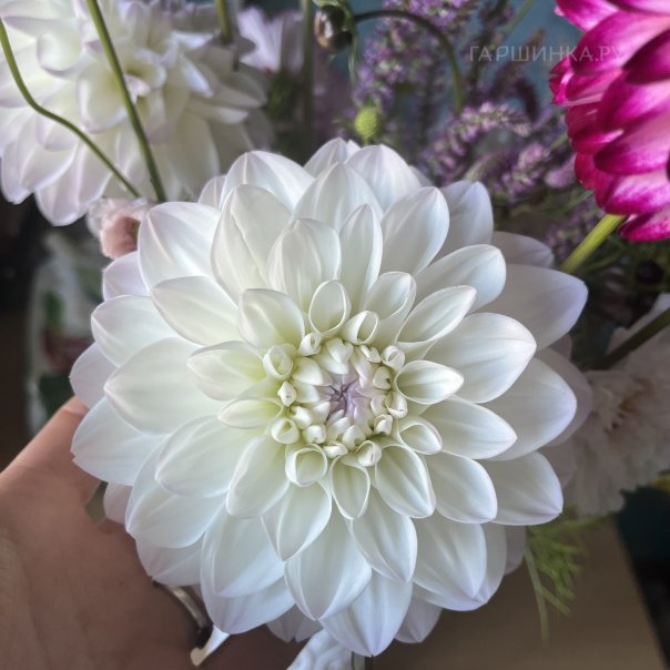 превью изображения отзыва