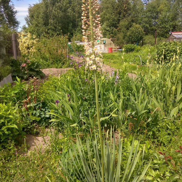 превью изображения отзыва