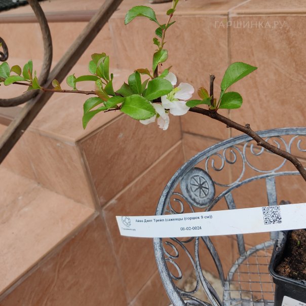 превью изображения отзыва