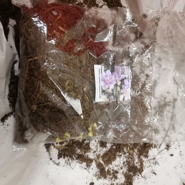 превью изображения отзыва