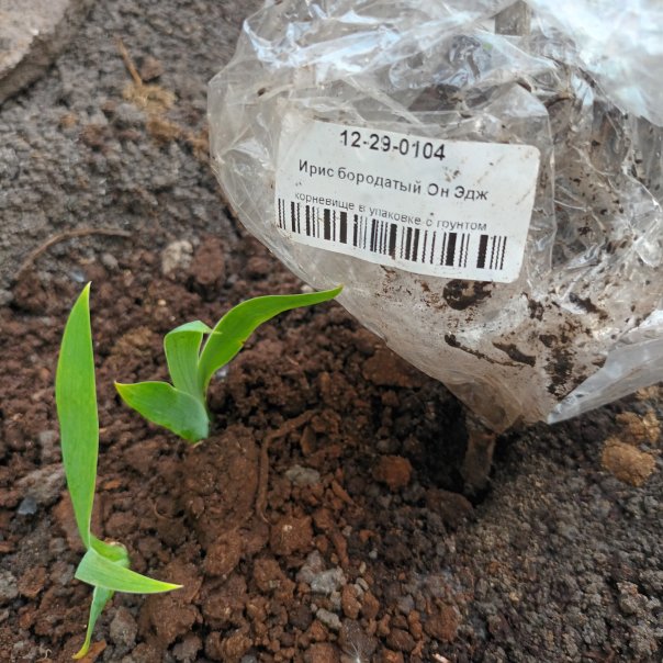 превью изображения отзыва