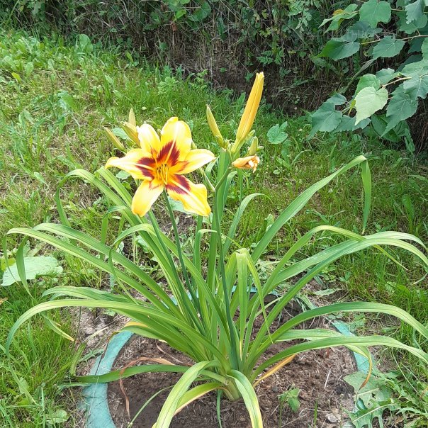 превью изображения отзыва