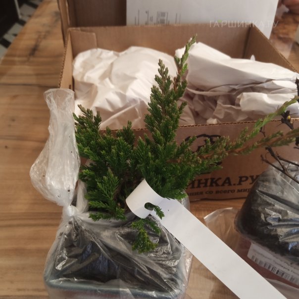 превью изображения отзыва