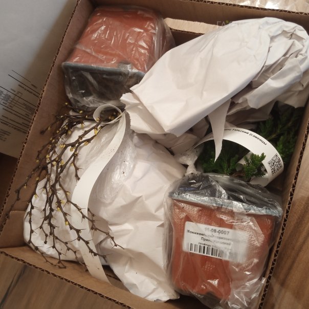 превью изображения отзыва