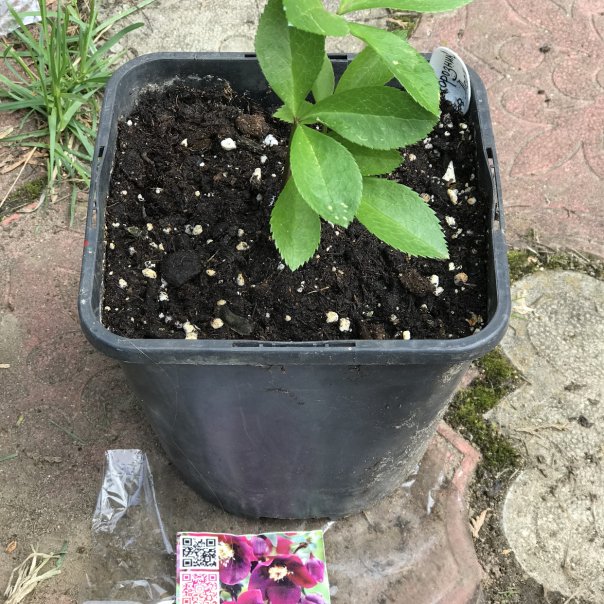 превью изображения отзыва