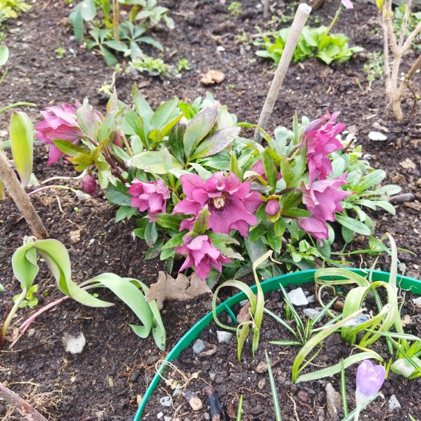 превью изображения отзыва