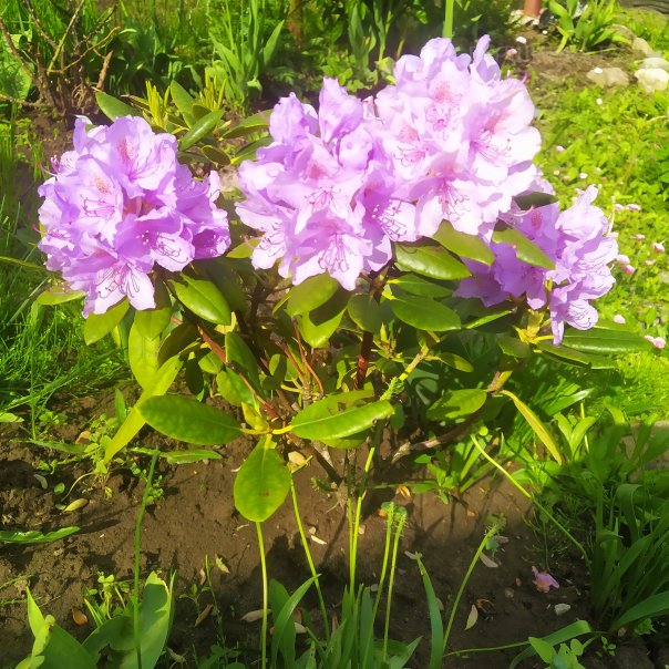 превью изображения отзыва