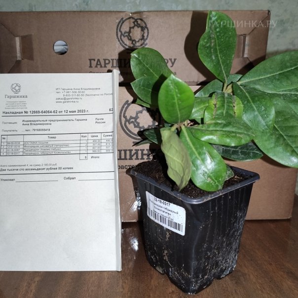 превью изображения отзыва